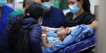 Pitbull ataca y desfigura a niño en Perú.