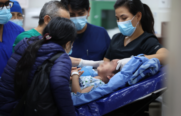 Pitbull ataca y desfigura a niño en Perú.