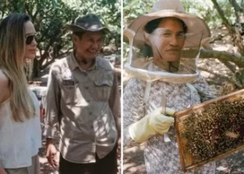 Angelina Jolie: Más allá de Hollywood, el refugio con el que resguarda a 200 especies en Camboya