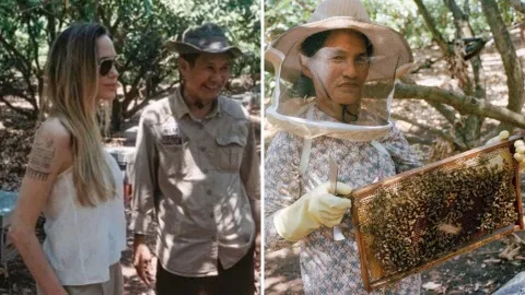 Angelina Jolie: Más allá de Hollywood, el refugio con el que resguarda a 200 especies en Camboya
